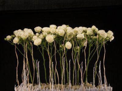 Classic Christmas with spray roses