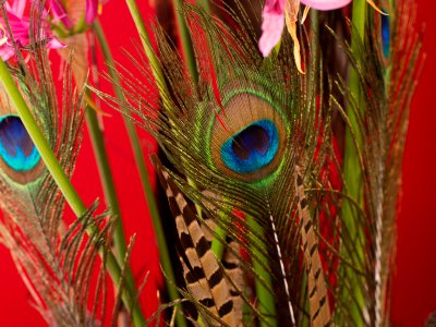 Autumn style floral design Autumn style floral design