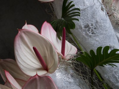 Icy Christmas object by Frédéric Dupré Icy Christmas object by Frédéric Dupré