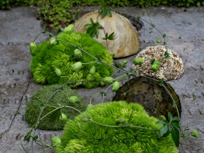 Serene funeral arrangement with Green Trick