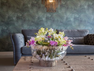 an orchid eye-catcher