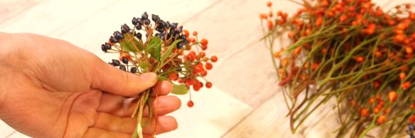 Online educatie programma leer nieuwe skills herfst