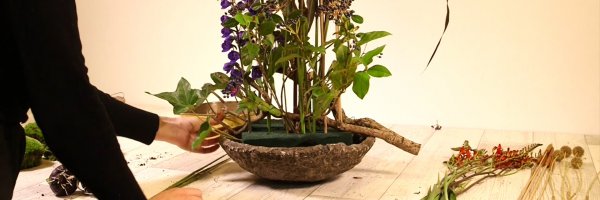 Online educatie programma leer nieuwe floristry skills lente