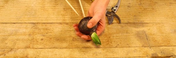 Online educatie programma leer nieuwe floristry skills easter