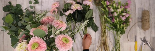 Online educatie programma leer nieuwe skills2