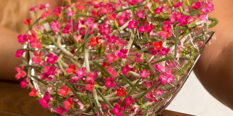 Floral wedding bracelet with Kalanchoe