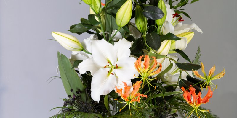 Odourless white Tourega lily in jungle style