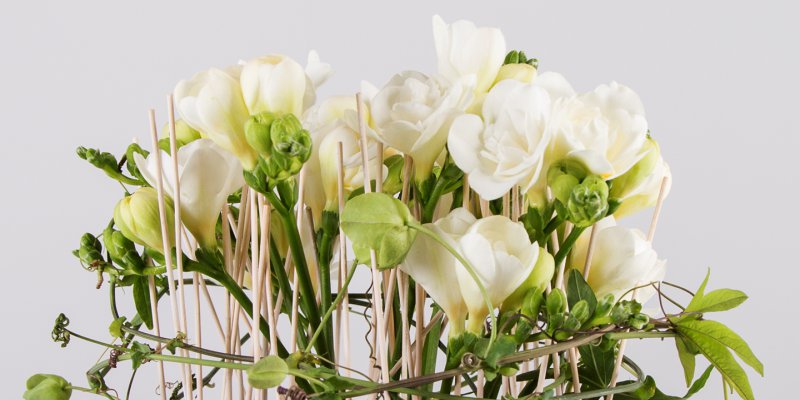 Serene woodwork with Freesia