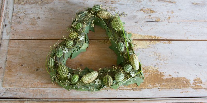 A delicate green heart