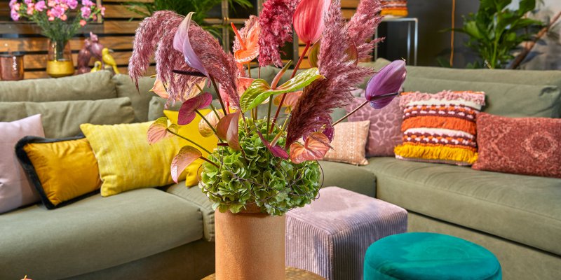 Anthurium, versatile and strong