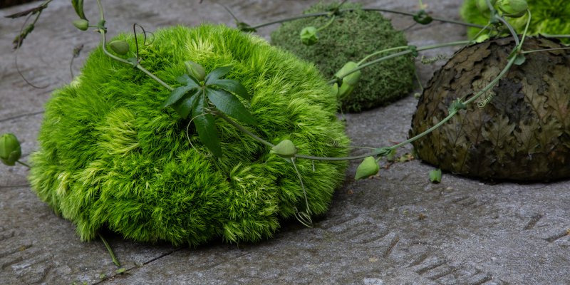 Serene funeral arrangement with Green Trick