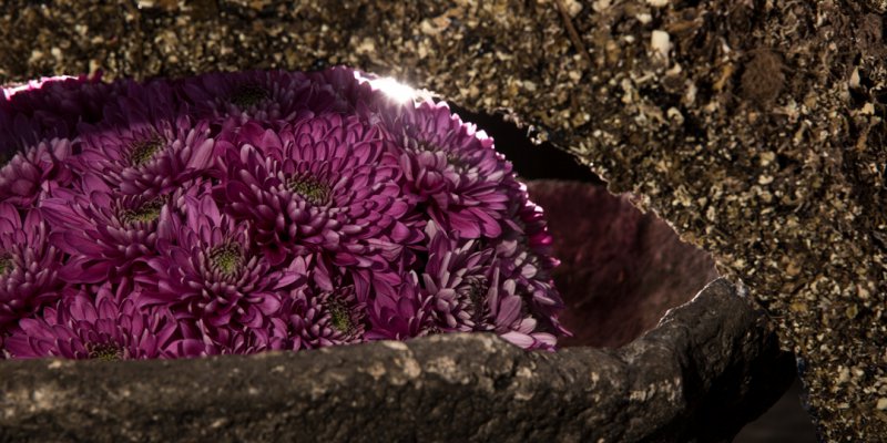 Floral design with Romance Purple