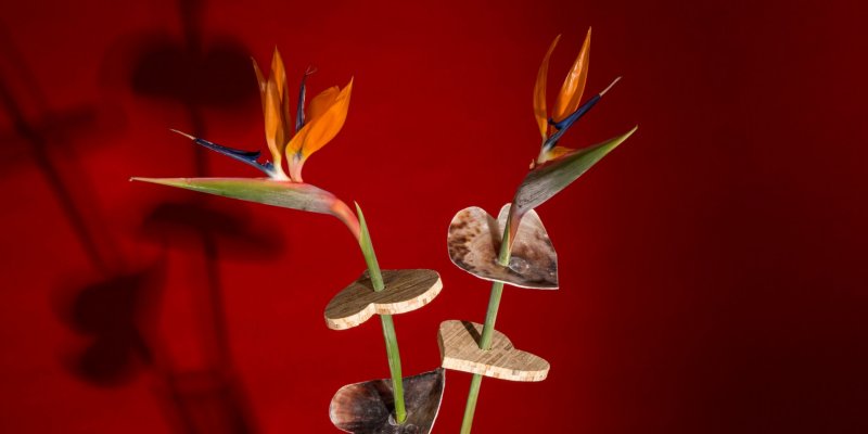 Simple and exotic idea for Valentine's Day