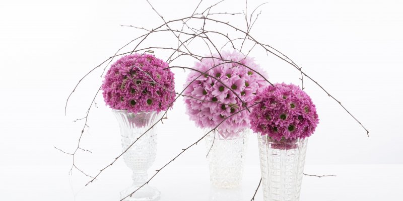 Floral spheres with pretty Prada Sweet