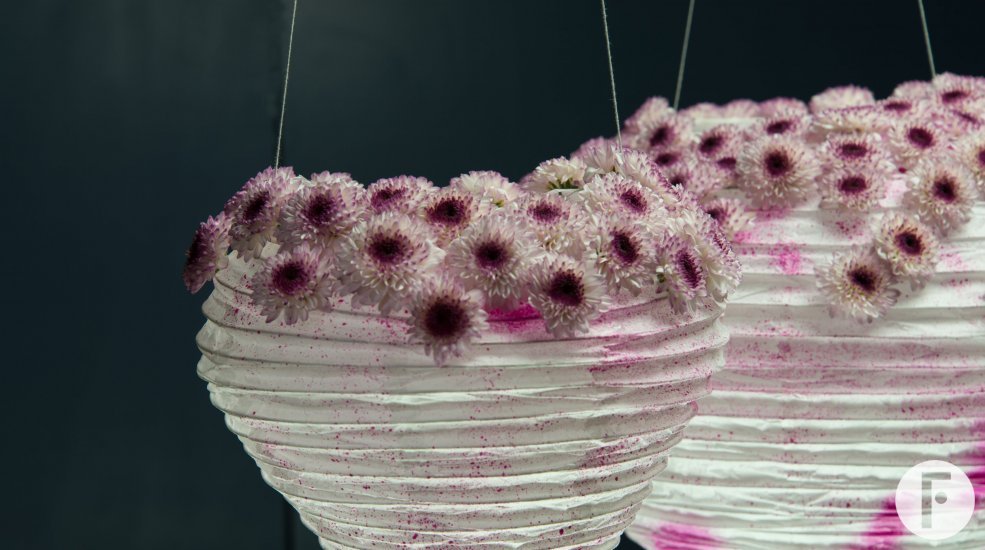 Lanterns with Chrysanthemum Abbey Limited Edition 1 by Zentoo close-up