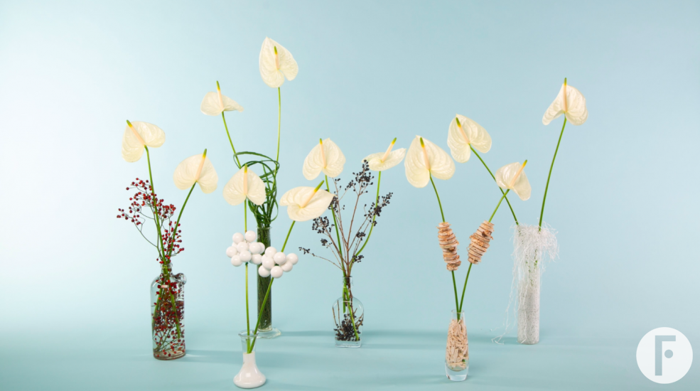 Festively decorated cut Anthuriums - Flower Factor