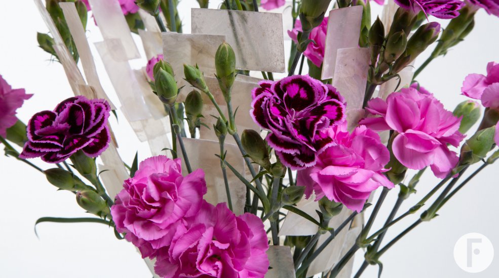 Elegantly arranged Dianthus bouquet