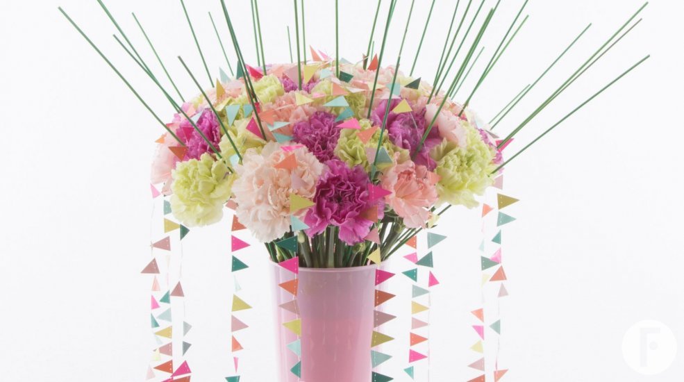 Trendy Dianthus festive design Alex Segura result livestream