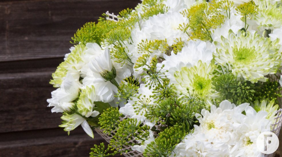 Fresh Chrysanthemum bouquets close-up