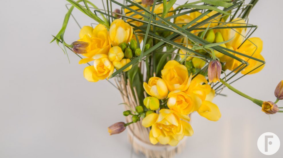 Freesia standing in tall grass detail