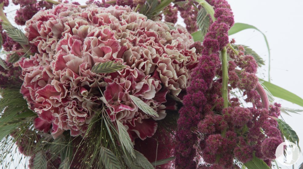 Vintage Dianthus bouquet close up