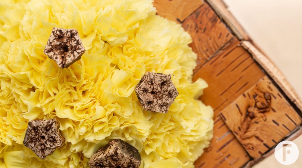 Trendy Dianthus square mono bouquet