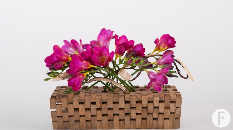 Bright pink Freesia arrangement