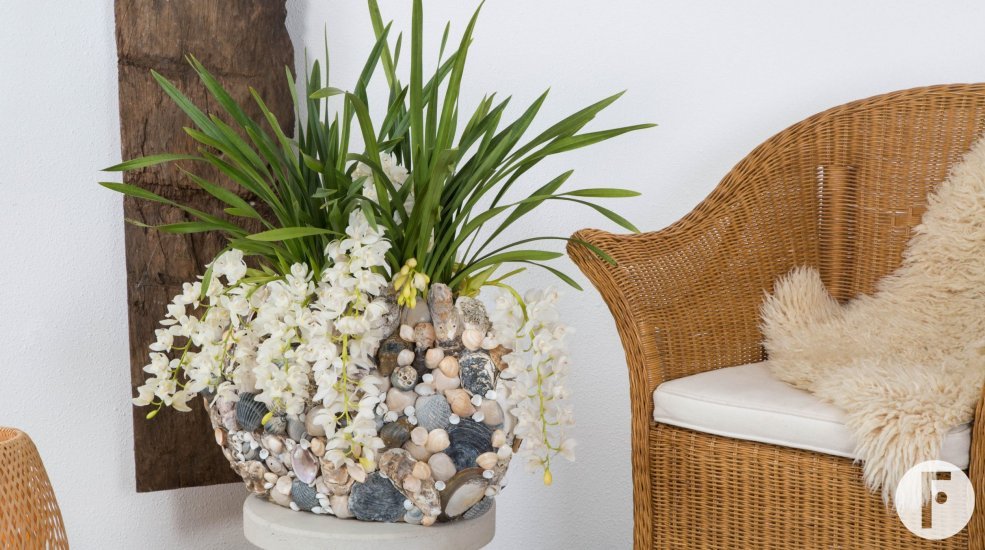 Beach interior with the Ice Cascade Cymbidium