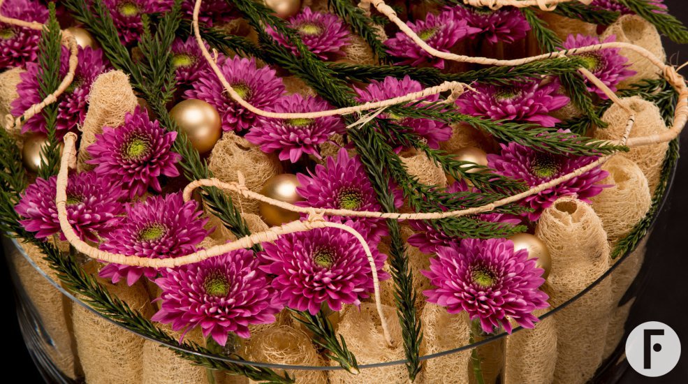 Romance Purple for Christmas Zentoo Roos van Unen Flower Factor
