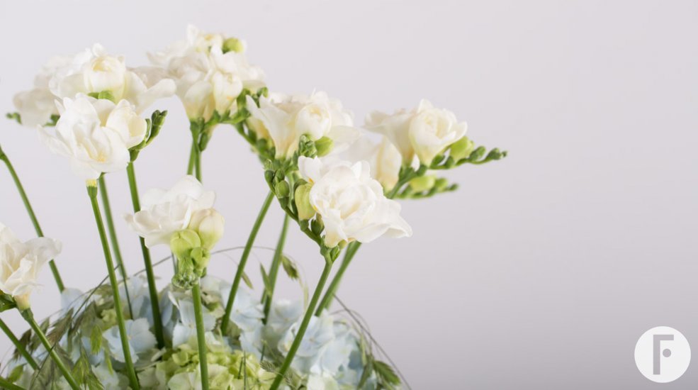 Romantic Freesia design