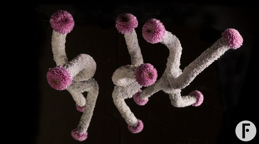 Fun Vanya Pink Chrysanthemums from Zentoo - design by Pim van den Akker
