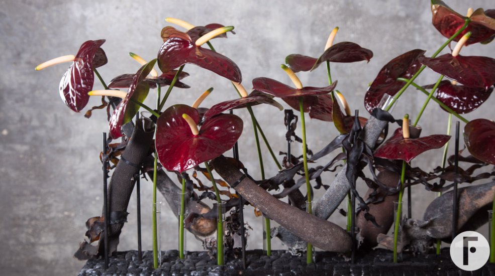 Dramatic flower arrangement with Anthurium Black Queen - Pim van den Akker