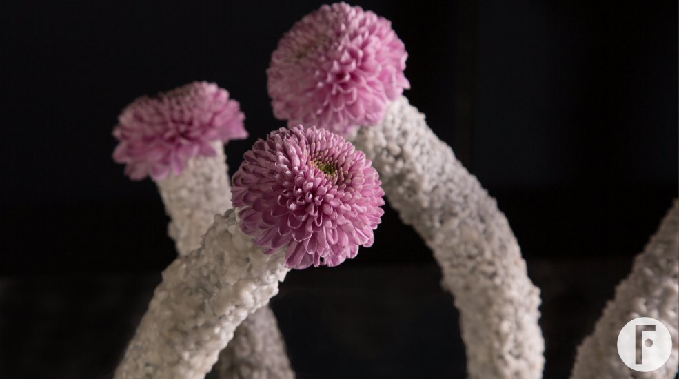 Fun Vanya Pink Chrysanthemums from Zentoo - design by Pim van den Akker