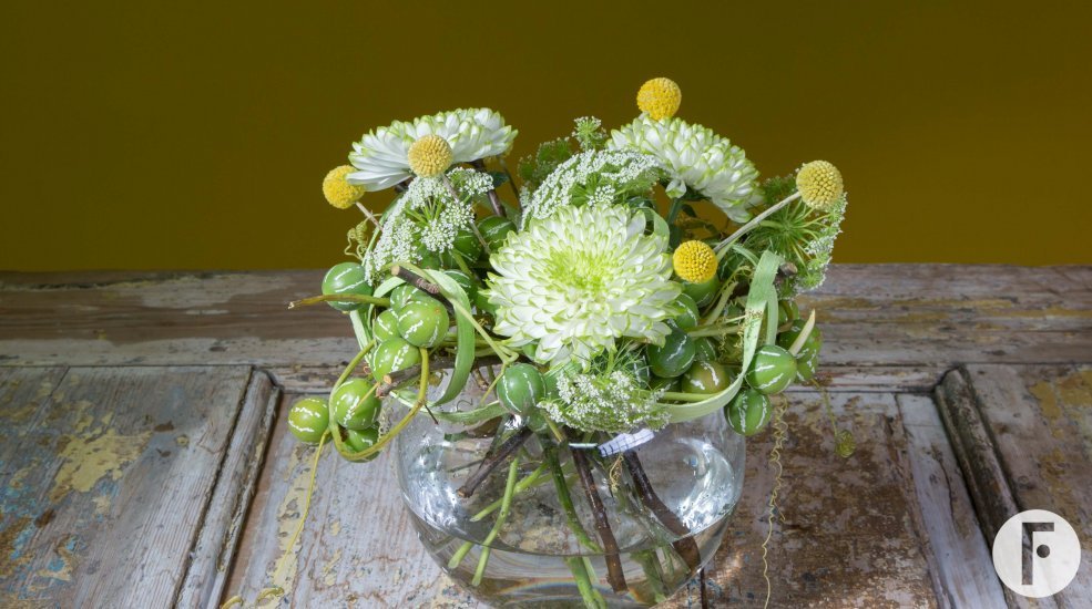 Dressed in Diplocyclos