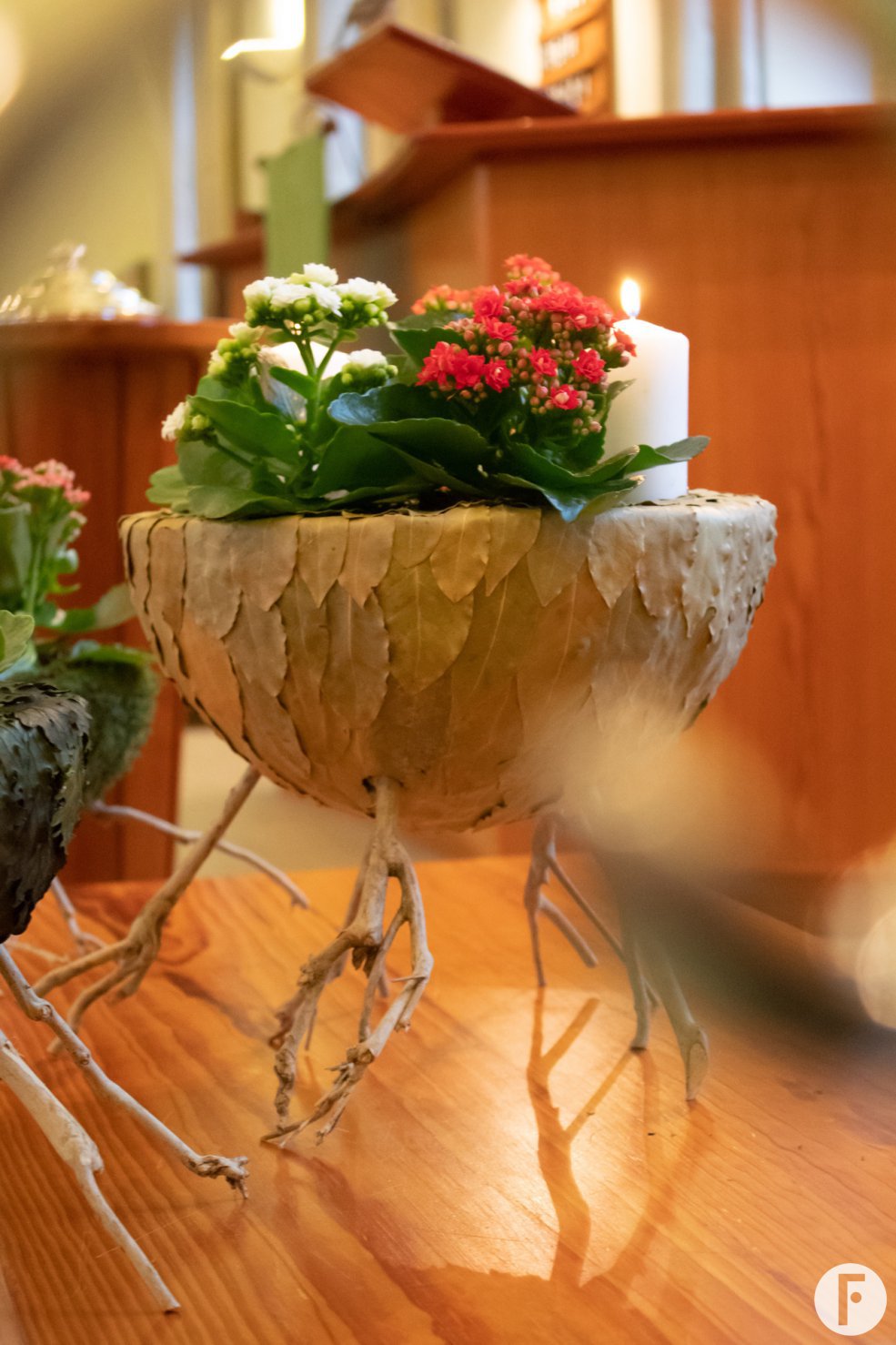 Kalanchoë Advent arrangement