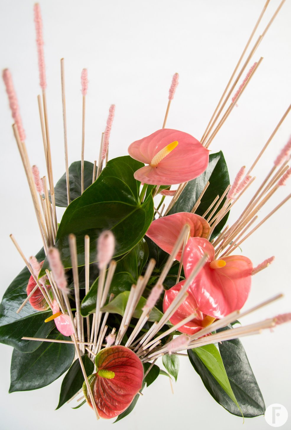 pink Anthurium arrangement - Pim van den Akker - Flower Factor