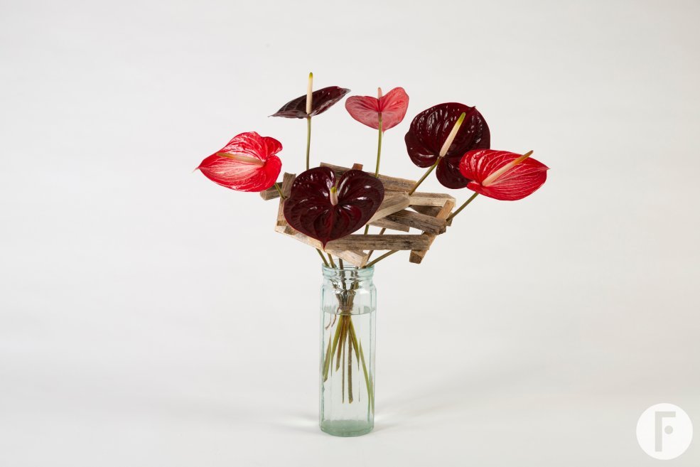 frame bouquet with Anthuriums - Pim van den Akker - Flower Factor