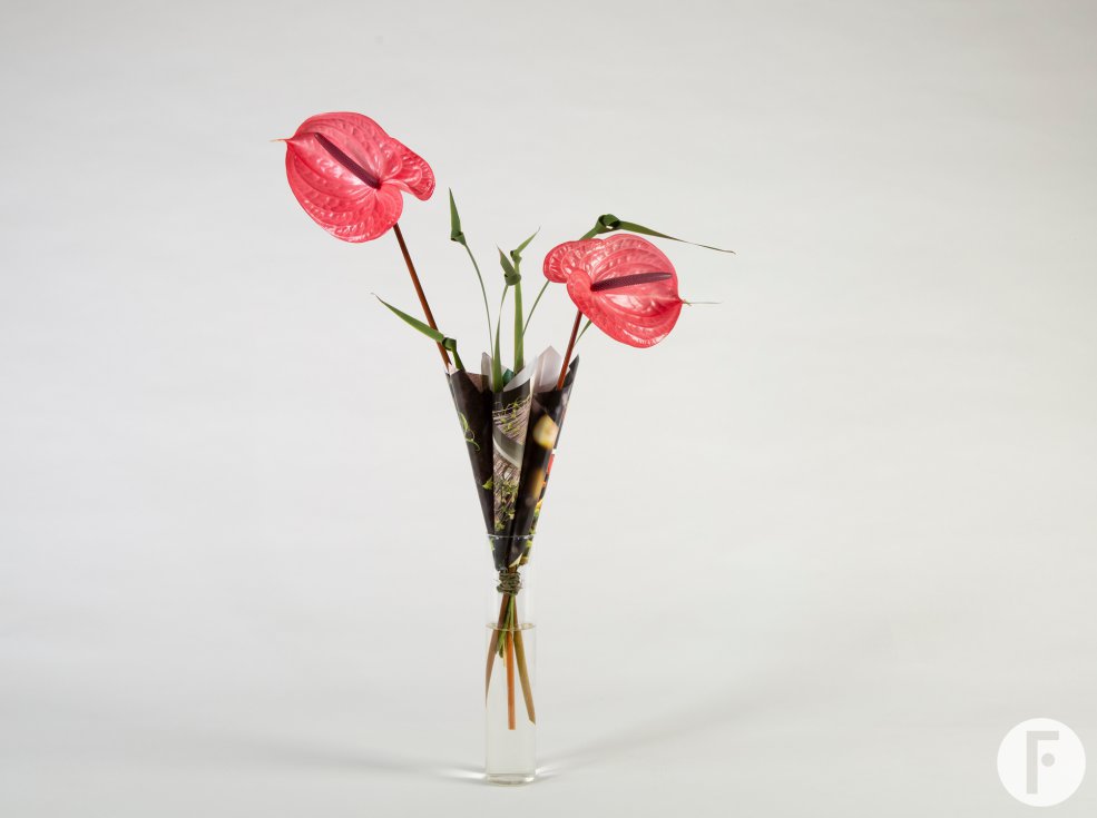 original Anthurium bouquet - Roos van Unen - Flower Factor