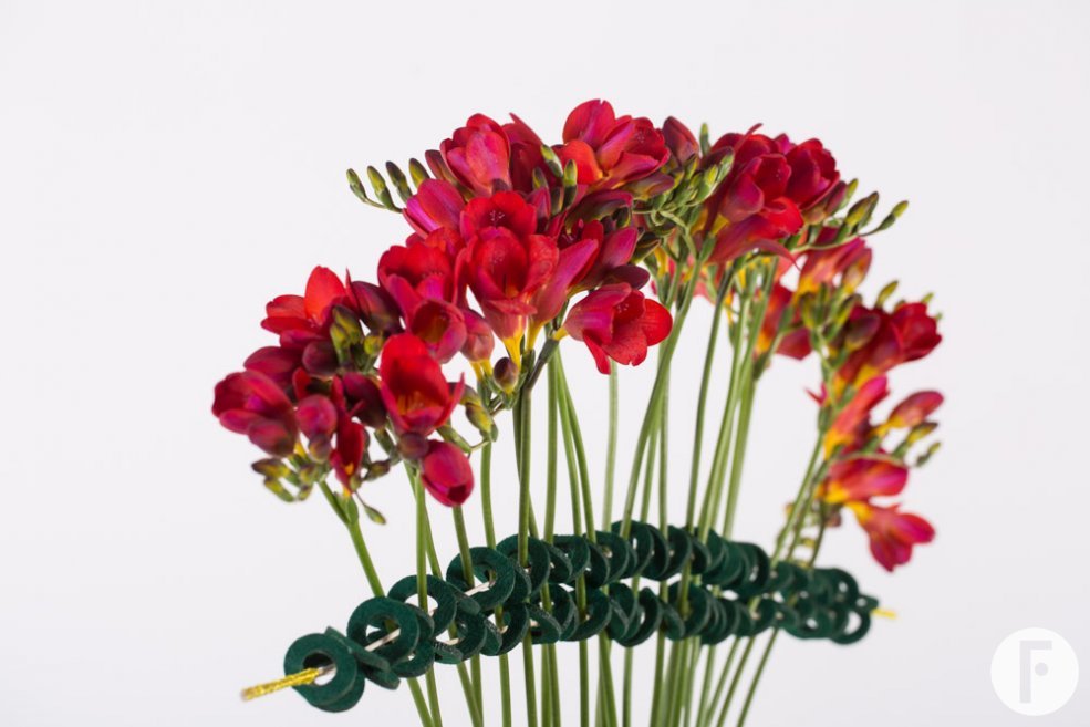 Classic and innovative vase design with red Freesia in a frame