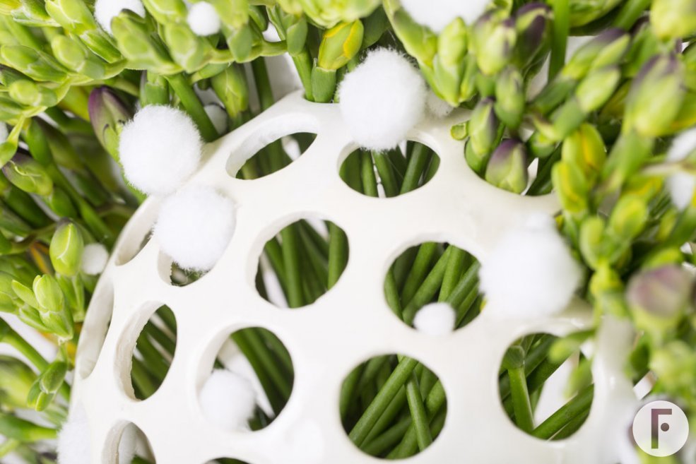 Colourful Freesia sphere close-up