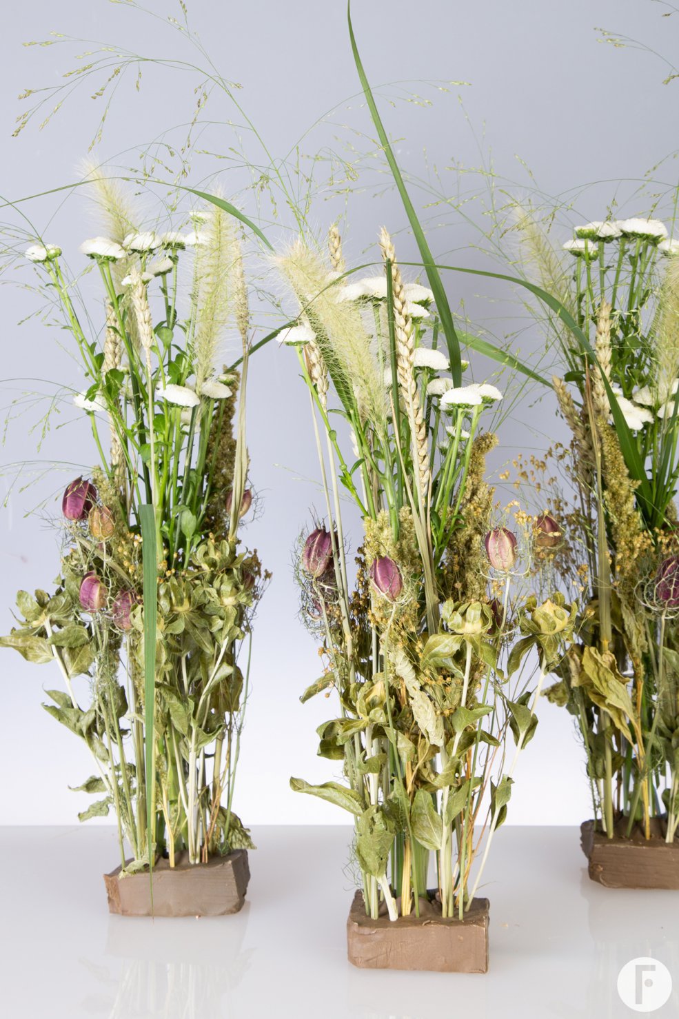 Pizarro - Dennis Lanzaat - Flower Factor