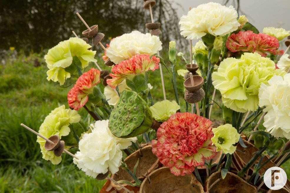 Trendy Dianthus frame bouquet - close-up