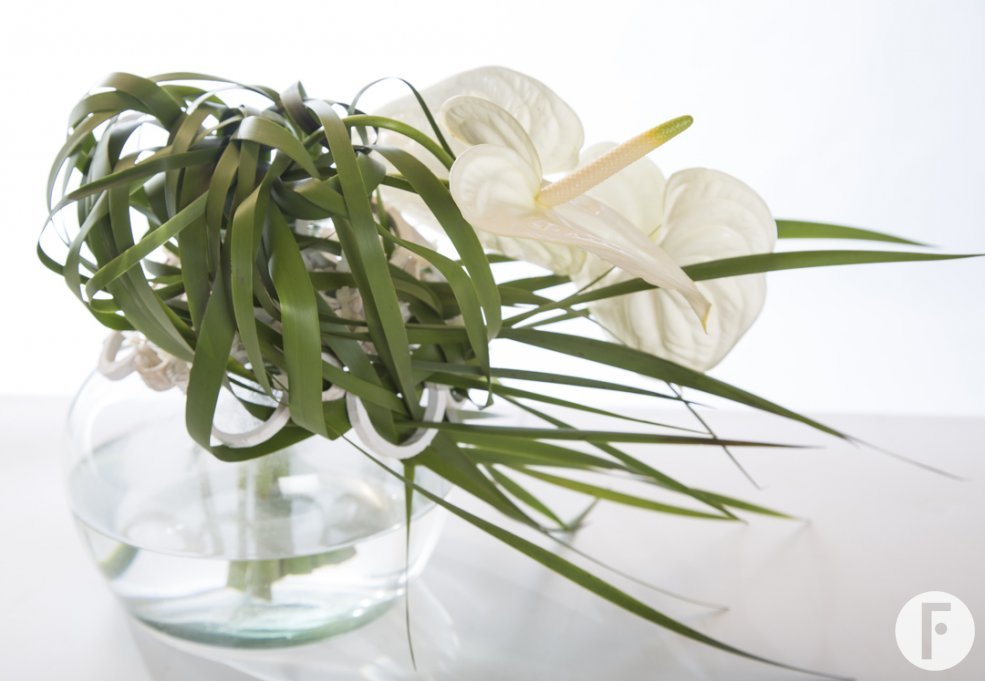 Fiore Anthuriums Moment design Pim van den Akker
