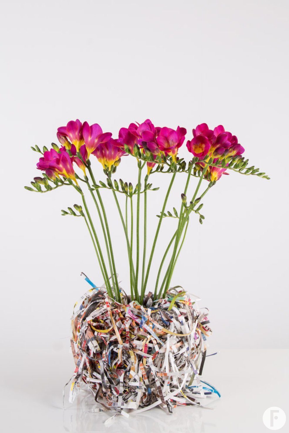 Colourful clutter with Freesia