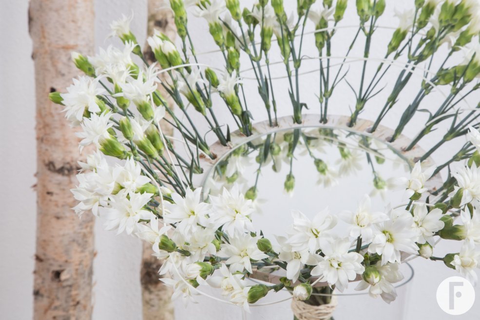 Reflecting Dianthus bouquet close-up