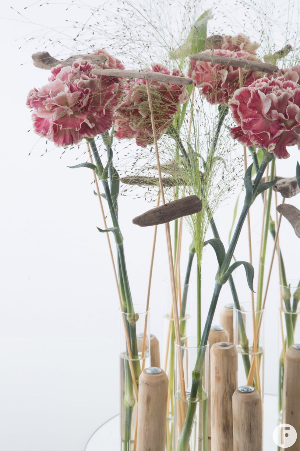 Trendy Dianthus Mirror Close-up