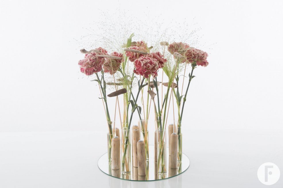 Trendy Dianthus
