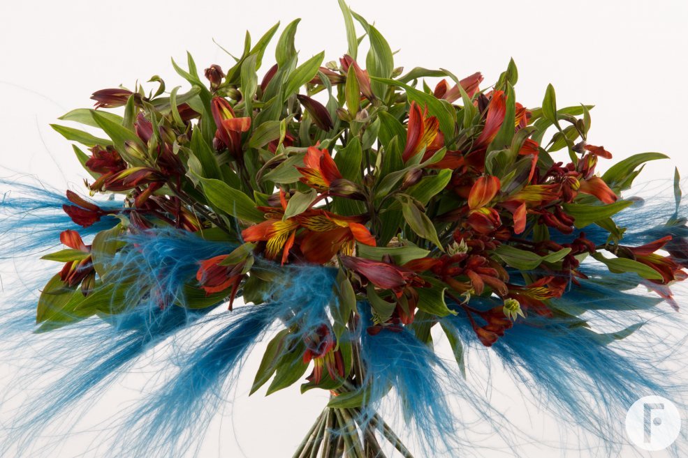 Edgy Alstroemeria bouquet close-up