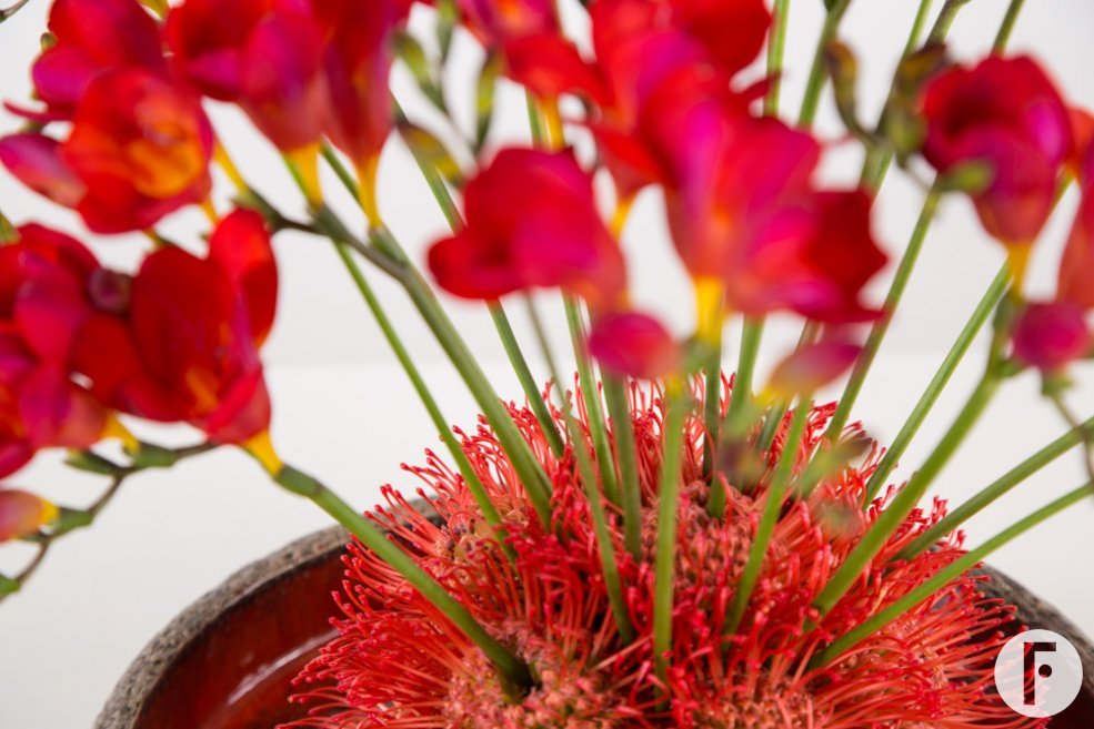 Fiery Freesia design close-up
