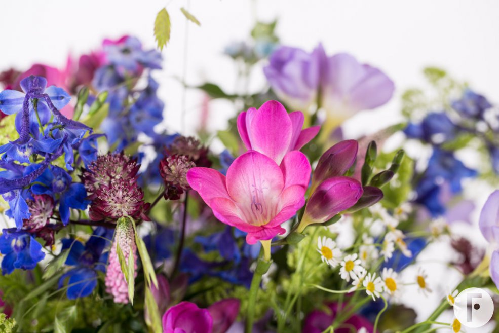 Freestyle Freesia field bouquet close-up